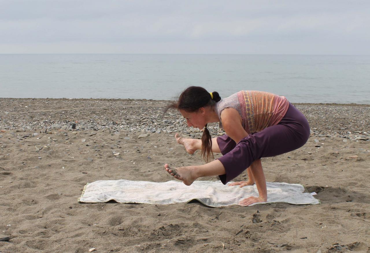 Tittibhasana, posture de l'insecte