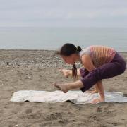 Tittibhasana, posture de l'insecte