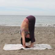 Padahastasana, posture de la pince debout