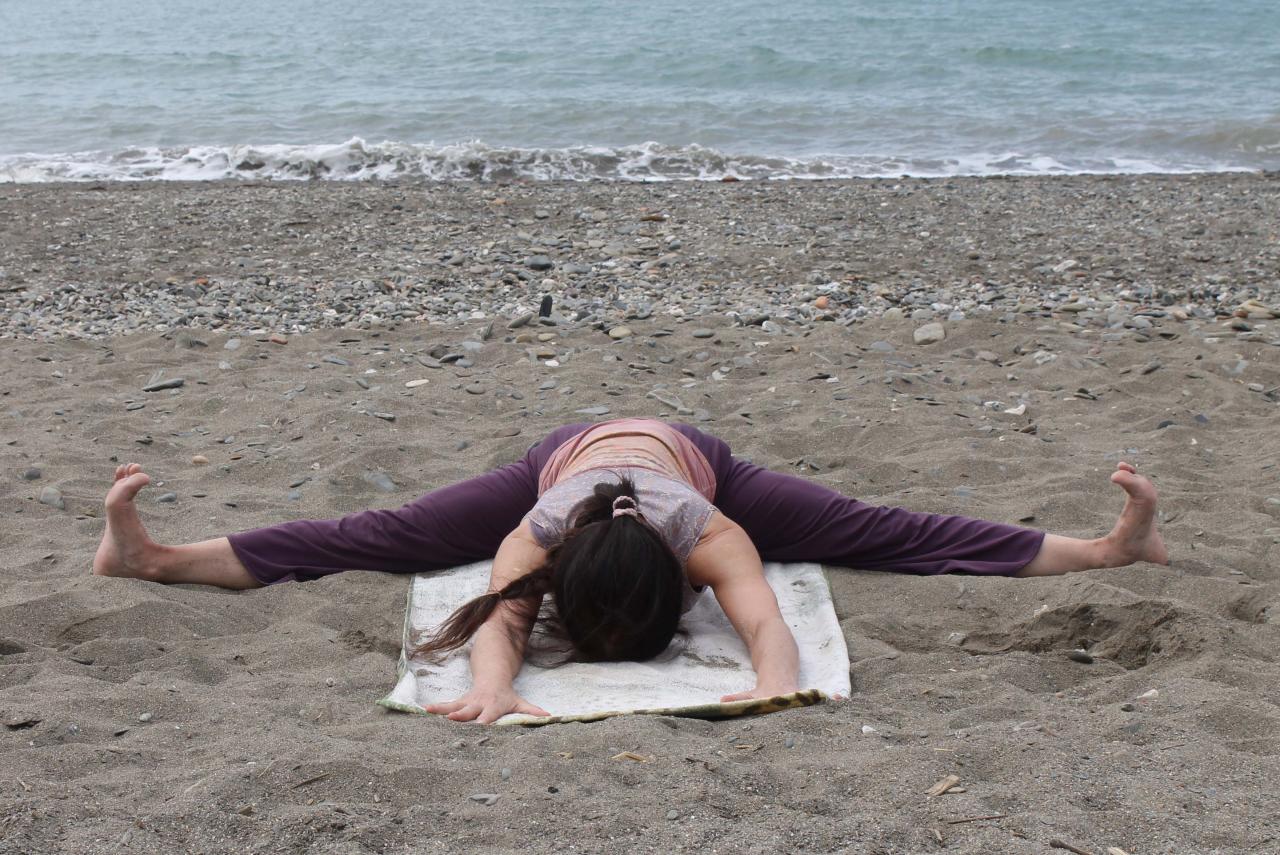 Upavista konasana