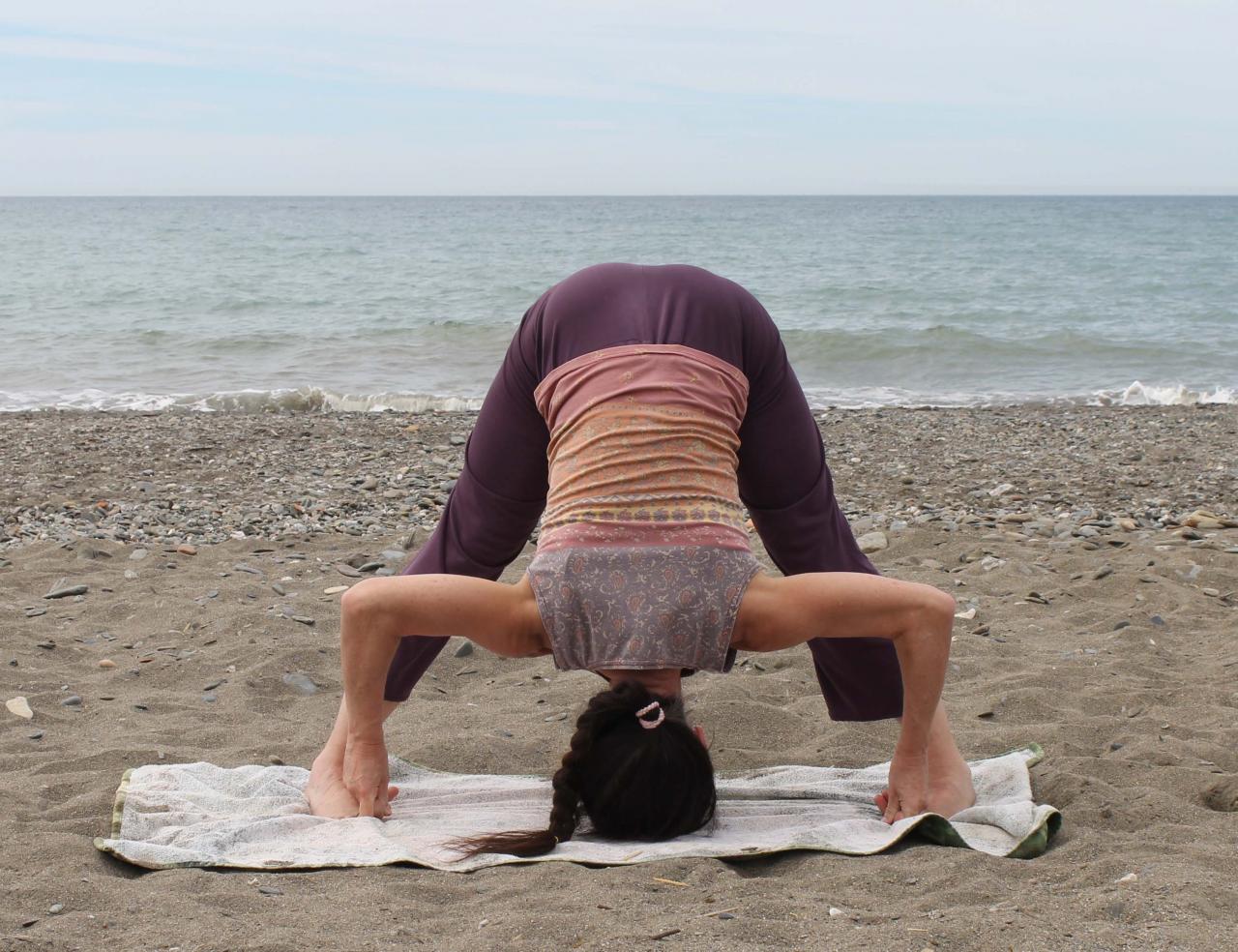 Prasarita padottanasana 4