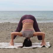 Prasarita padottanasana 4