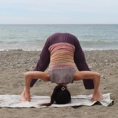 Prasarita padottanasana 4