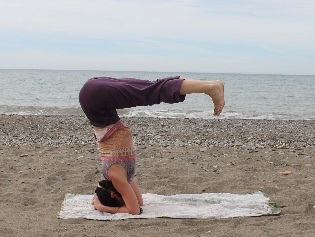 Urdhva dandasana, variation de sirsasana