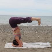 Urdhva dandasana, variation de sirsasana