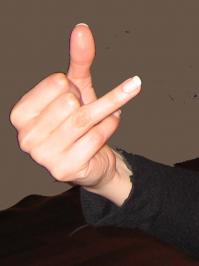 Vishnu mudra.jpg