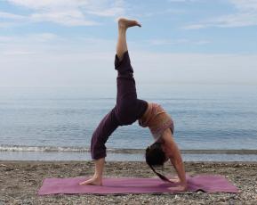 chakrasana.jpg