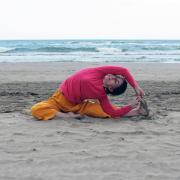 Parivritta janu sirsasana