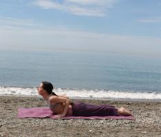 Bhujangasana.jpg