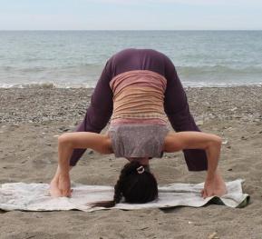 prasarita padottanasana.jpg